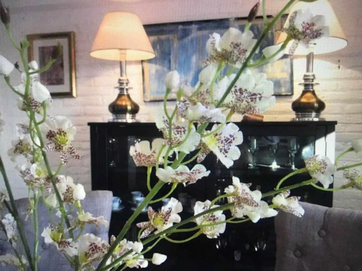 Luxury Old Town Cervantes Paz En El Casco Antiguo Malaga Apartment